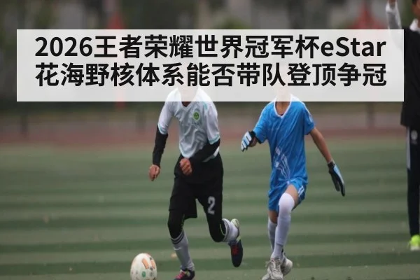 2026王者荣耀世界冠军杯eStar花海野核体系能否带队登顶争冠